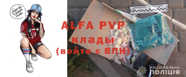 крисы Бородино