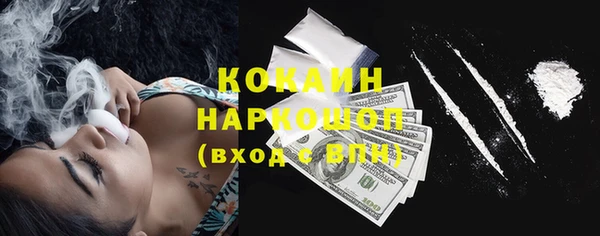 гидра Бронницы