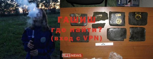 крисы Бородино
