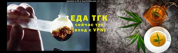 крисы Бородино