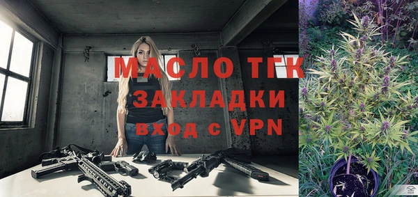 крисы Бородино