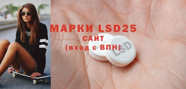 крисы Бородино