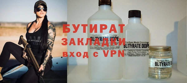 крисы Бородино