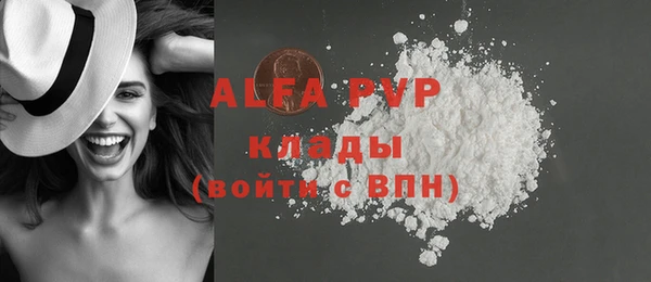 крисы Бородино