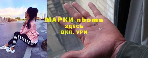 крисы Бородино
