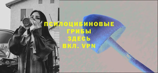 крисы Бородино