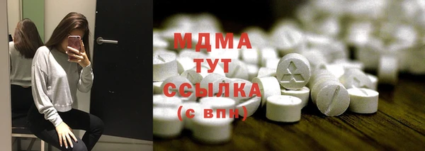 крисы Бородино