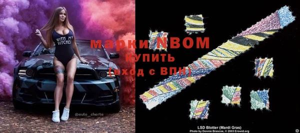 крисы Бородино