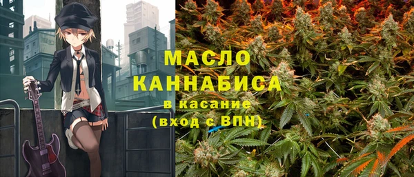 гидра Бронницы